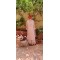Onion Pink Kurta with Pallazo & Dupatta (LP1001)
