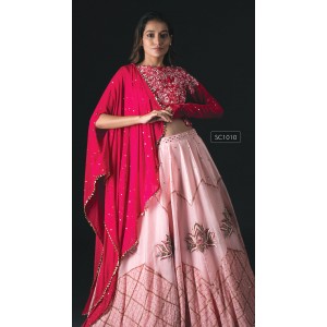 Pink Crop Top with panel skirt & cape. (SC1010)