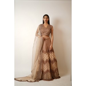 Beige Heavily embroidered, Lehenga blouse and dupatta  (SDH1019)