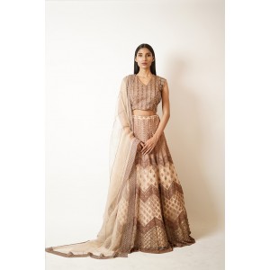 Beige Heavily embroidered, Lehenga blouse and dupatta  (SDH1019)