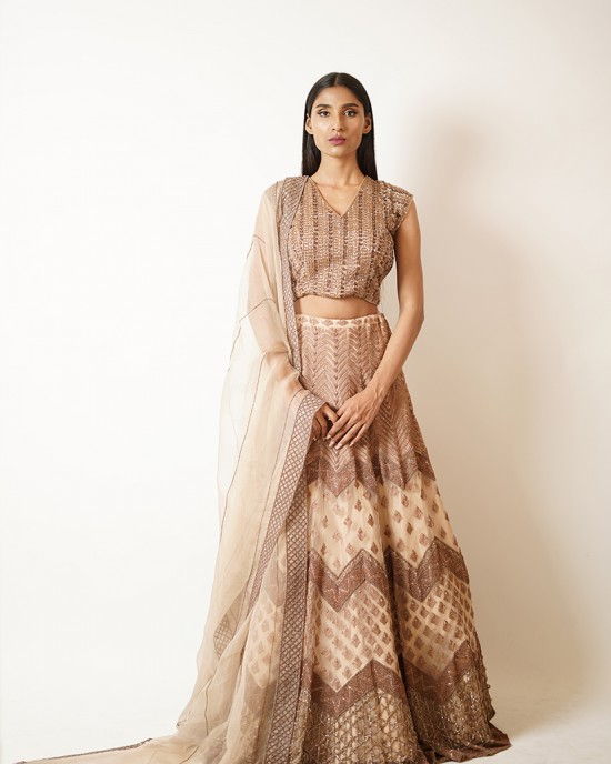 Beige Heavily embroidered, Lehenga blouse and dupatta  (SDH1019) Beige Heavily embroidered, Lehenga blouse and dupatta  (SDH1019)