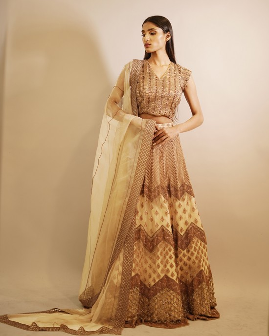 Beige Heavily embroidered, Lehenga blouse and dupatta  (SDH1019) Beige Heavily embroidered, Lehenga blouse and dupatta  (SDH1019)