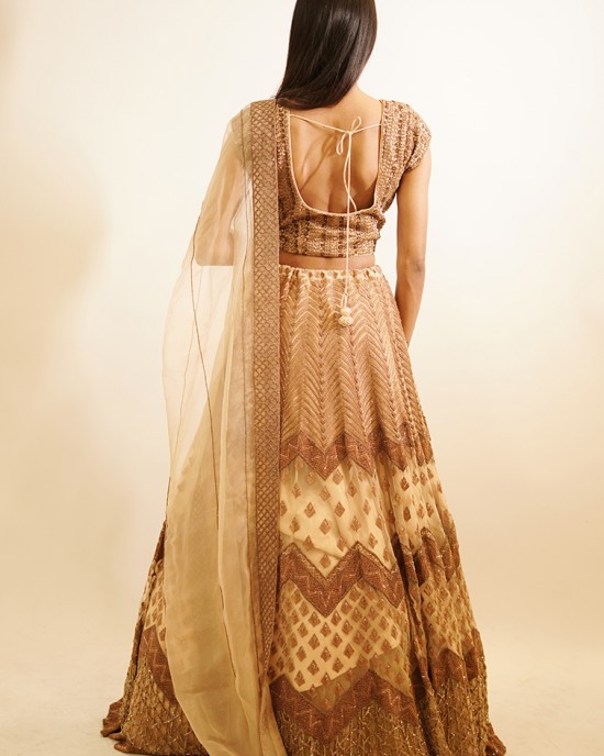 Beige Heavily embroidered, Lehenga blouse and dupatta  (SDH1019) Beige Heavily embroidered, Lehenga blouse and dupatta  (SDH1019)