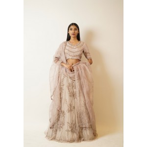 Champagne Gold Heavily embroidered, Lehenga blouse and dupatta  (SDH1021)