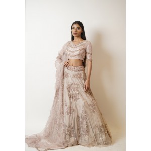Champagne Gold Heavily embroidered, Lehenga blouse and dupatta  (SDH1021)