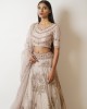 Champagne Gold Heavily embroidered, Lehenga blouse and dupatta  (SDH1021) Champagne Gold Heavily embroidered, Lehenga blouse and dupatta  (SDH1021)