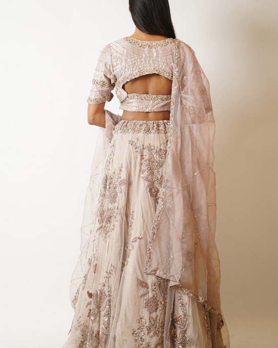 Champagne Gold Heavily embroidered, Lehenga blouse and dupatta  (SDH1021) Champagne Gold Heavily embroidered, Lehenga blouse and dupatta  (SDH1021)